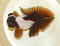 其他魚類養殖